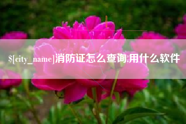 灌云消防证怎么查询,用什么软件