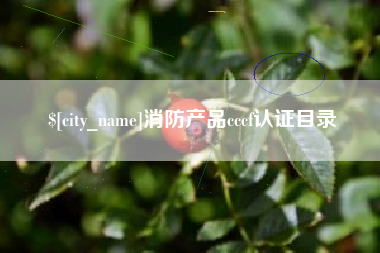 灌云消防产品cccf认证目录