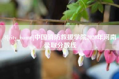 灌云中国消防救援学院2020年河南录取分数线