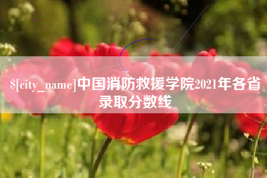 灌云中国消防救援学院2021年各省录取分数线
