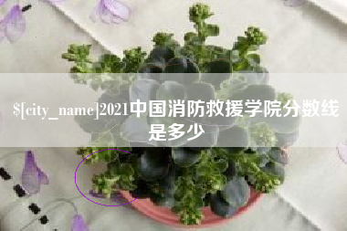 灌云2021中国消防救援学院分数线是多少