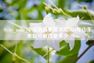 灌云中国消防救援学院2021年山东录取分数线是多少