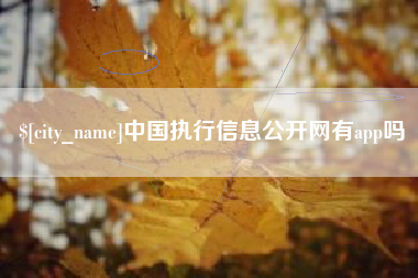 灌云中国执行信息公开网有app吗