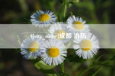 灌云成都 消防
