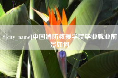 灌云中国消防救援学院毕业就业前景如何