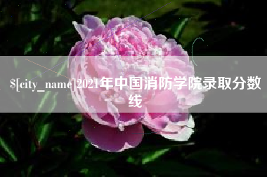 灌云2021年中国消防学院录取分数线