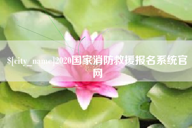 灌云2020国家消防救援报名系统官网