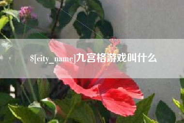 灌云九宫格游戏叫什么