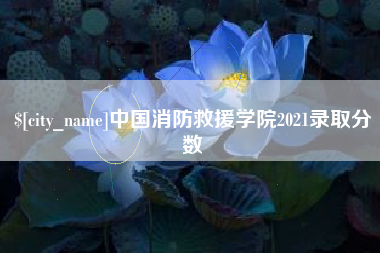 灌云中国消防救援学院2021录取分数