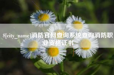 灌云消防官网查询系统查询消防职业资格证书