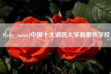 灌云中国十大消防大学有哪些学校