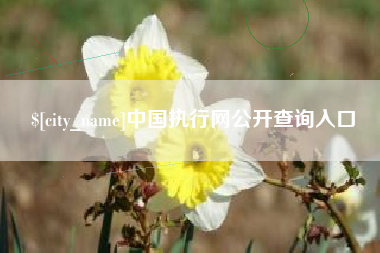 灌云中国执行网公开查询入口