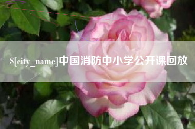 灌云中国消防中小学公开课回放