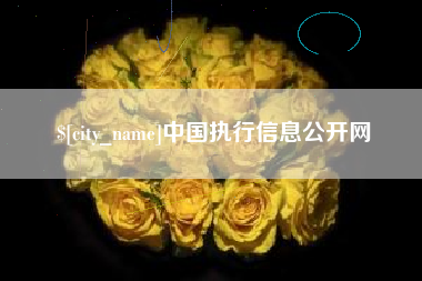 灌云中国执行信息公开网