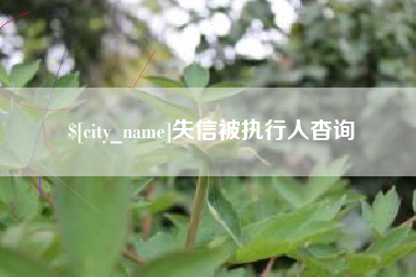 灌云失信被执行人杳询