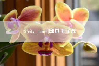 灌云邱县王子磊