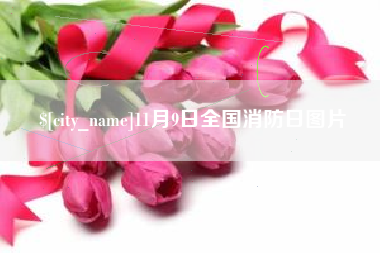 灌云11月9日全国消防日图片
