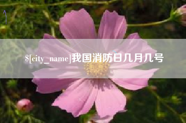 灌云我国消防日几月几号
