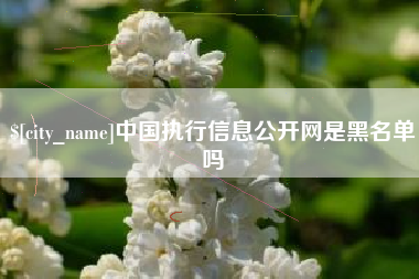 灌云中国执行信息公开网是黑名单吗