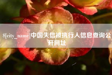 灌云中国失信被执行人信息查询公开网址
