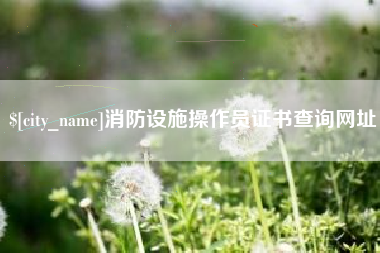 灌云消防设施操作员证书查询网址