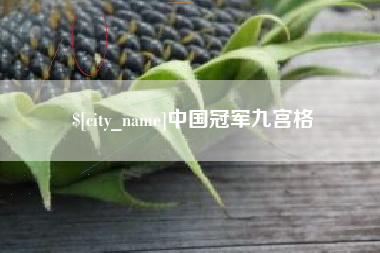 灌云中国冠军九宫格