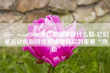 灌云5000米世界冠军穿什么鞋-它们是运动员取得优异成绩背后的重要“功臣”