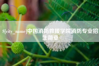 灌云中国消防救援学院消防专业招生简章