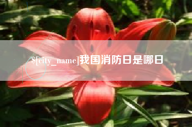 灌云我国消防日是哪日