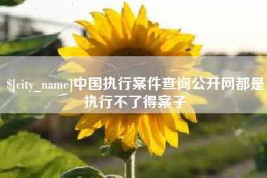 灌云中国执行案件查询公开网都是执行不了得案子