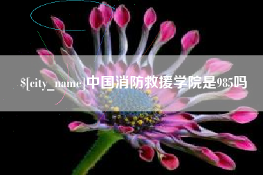 灌云中国消防救援学院是985吗