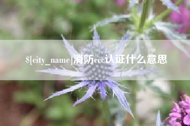 灌云消防ccc认证什么意思