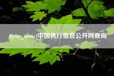 灌云中国执行信息公开网查询