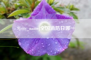 灌云全国消防日哪一