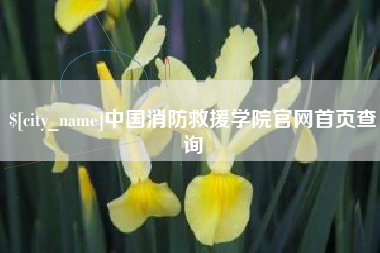 灌云中国消防救援学院官网首页查询