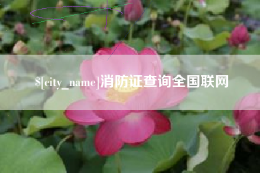 灌云消防证查询全国联网