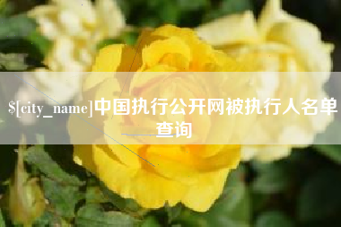 灌云中国执行公开网被执行人名单查询