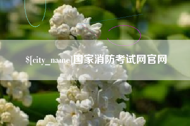 灌云国家消防考试网官网