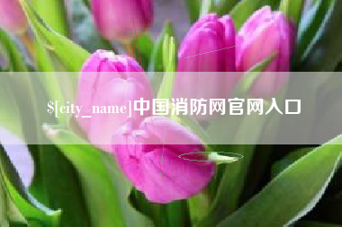 灌云中国消防网官网入口