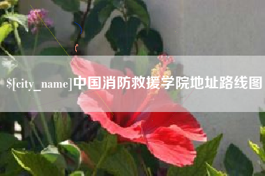 灌云中国消防救援学院地址路线图