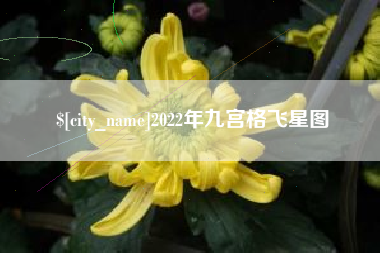 灌云2022年九宫格飞星图