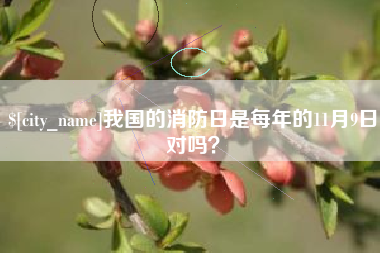灌云我国的消防日是每年的11月9日对吗？