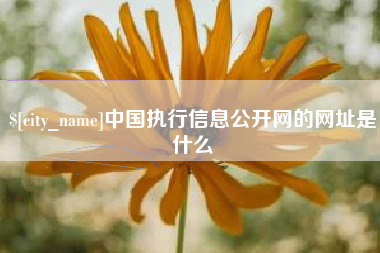 灌云中国执行信息公开网的网址是什么