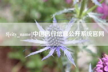 灌云中国执行信息公开系统官网