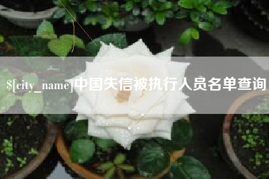 灌云中国失信被执行人员名单查询