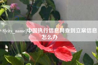 灌云中国执行信息网查到立案信息怎么办