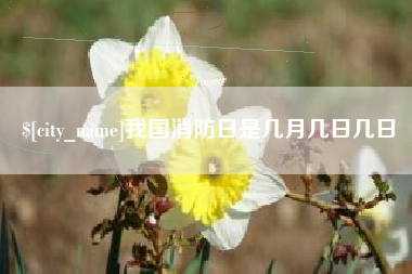 灌云我国消防日是几月几日几日