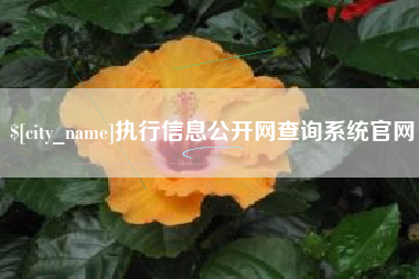 灌云执行信息公开网查询系统官网