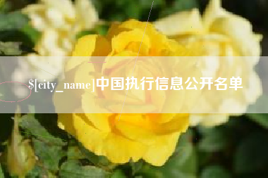 灌云中国执行信息公开名单