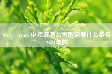 灌云中控证怎么考取需要什么条件2024年的